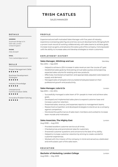 Professional CV template Industrial