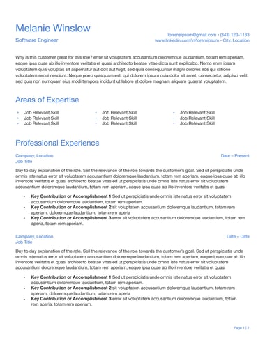 Professional CV template Simple ATS