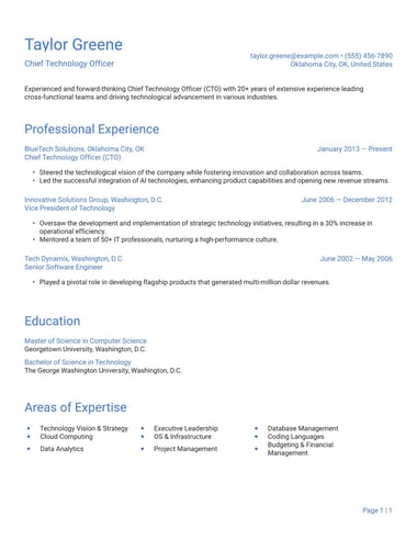 Professional resume template Simple ATS