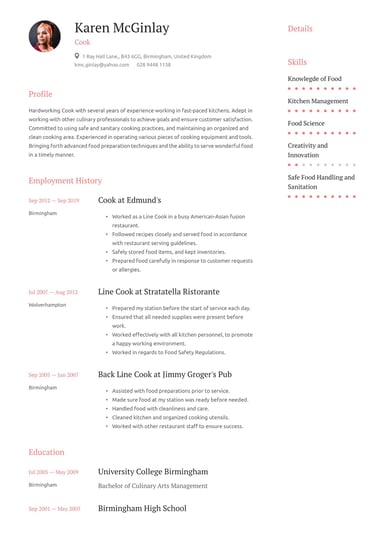 Professional CV template Elegant