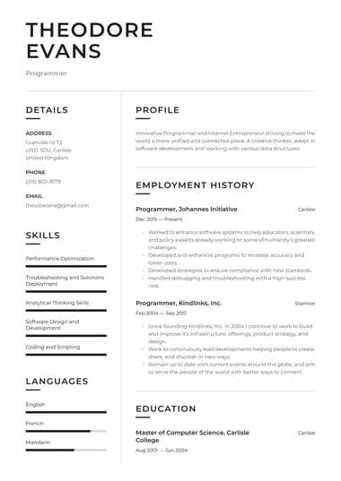 Professional CV template Clean
