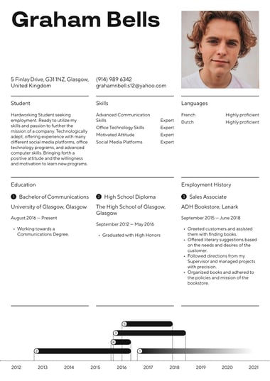 Professional CV template Executive