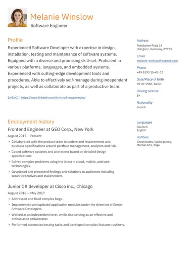 Professional CV template Two column ATS