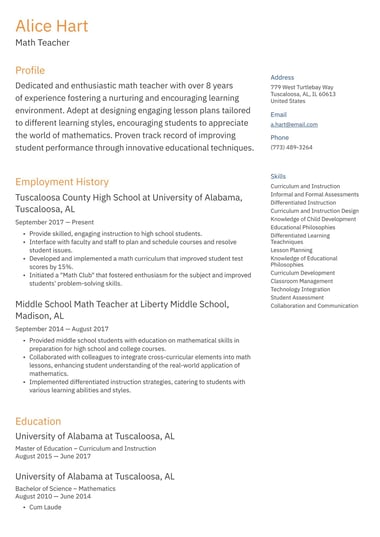 Professional resume template Two column ATS
