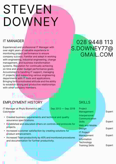 Professional CV template Colour Splash