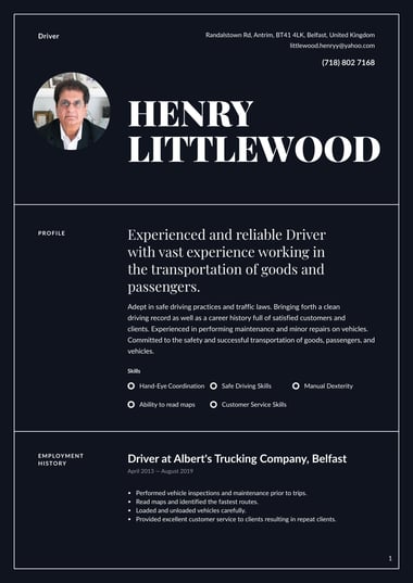 Professional CV template Authority