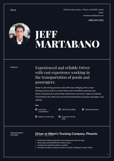 Professional resume template Authority