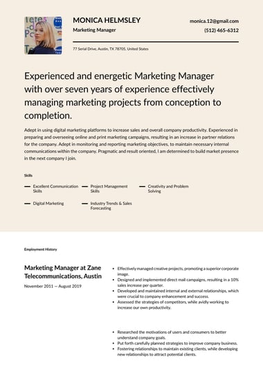 Professional resume template Half Tone