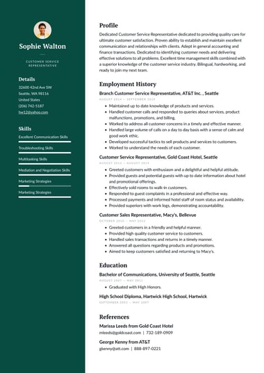 Professional resume template Professional