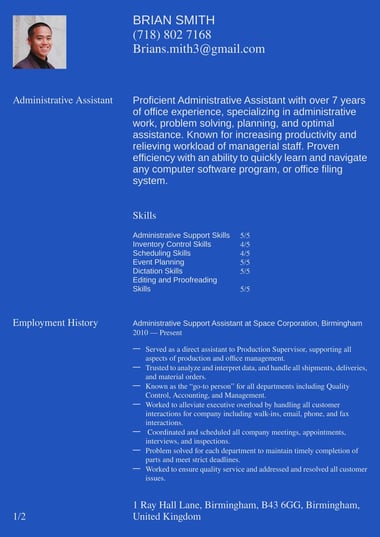 Professional CV template Statement
