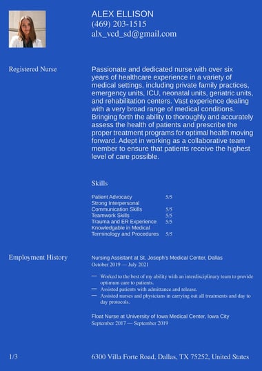 Professional resume template Statement
