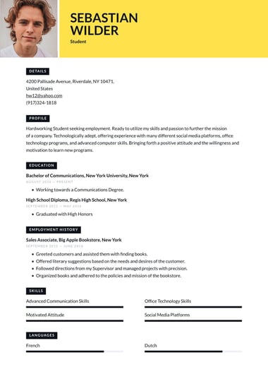 Professional resume template Vivid