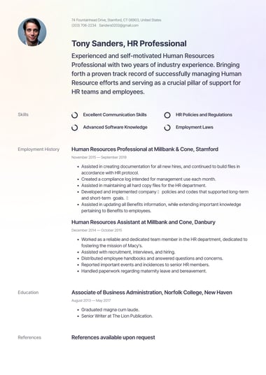 Professional resume template Pastel