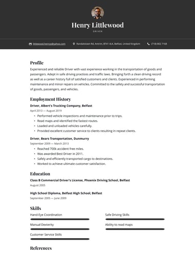 Professional CV template Bold