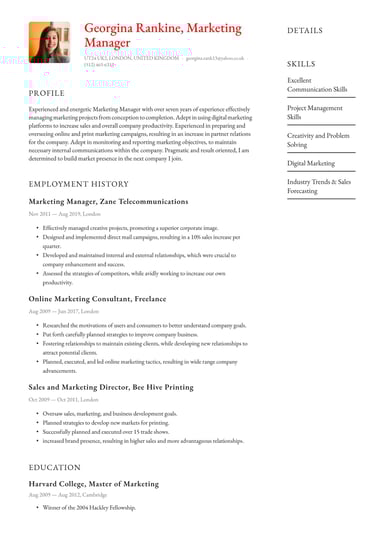 Professional CV template Polished