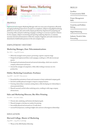 Professional resume template Polished