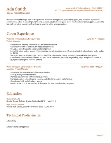 Professional resume template Precision ATS