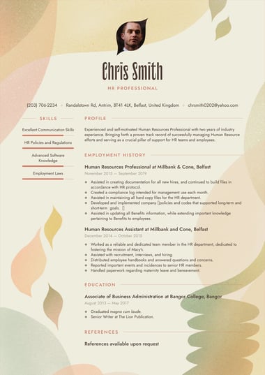 Professional CV template Visionary