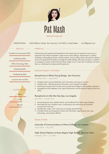 Professional resume template Visionary