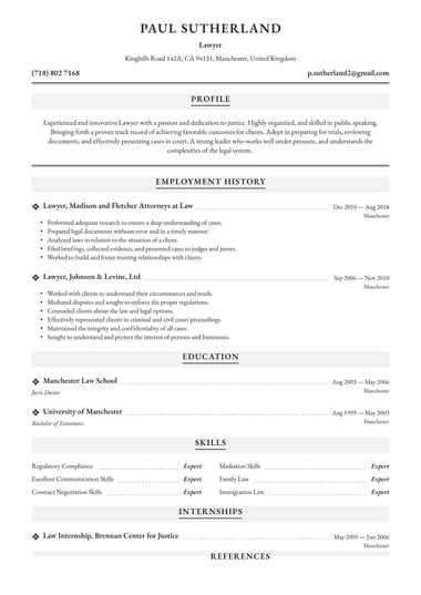 Professional CV template Traditional