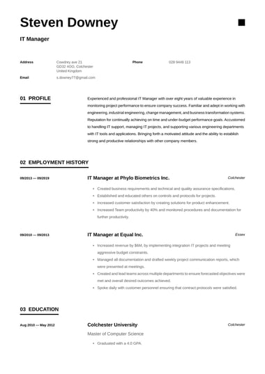 Professional CV template Minimalist