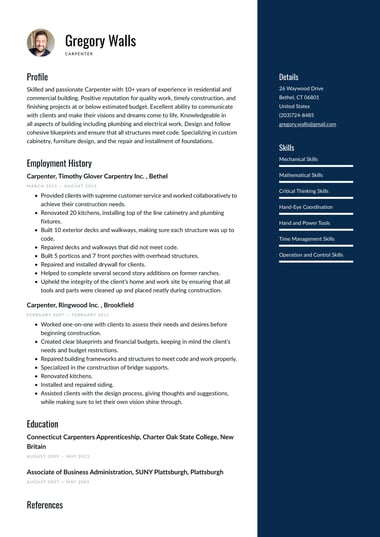 Professional resume template Balanced