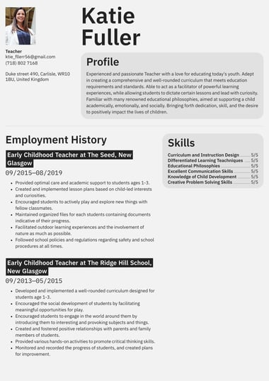 Professional CV template Defined