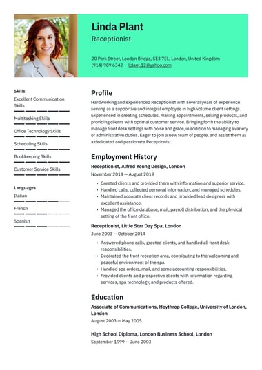 Professional CV template Clear